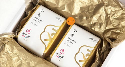 東巴客 休閑食品餐飲品牌全案設(shè)計(jì)與圖文制作的藝術(shù)融合